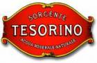 immagine relativa a Sorgente Tesorino