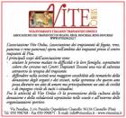 immagine relativa a Vite Onlus